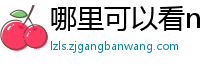 哪里可以看nba直播